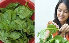 Rau mồng tơi: 4 đối tượng phải nhịn miệng