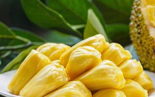 Mít, trái ngon mùa hè, ăn nhiều có thể tắc ruột