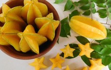 Ngộ độc, suy thận vì ăn khế