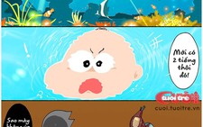 Hệ sinh thái nón bảo hiểm