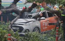 Cây xanh bật gốc đè taxi, nữ hành khách nhập viện