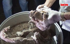 Nổ súng khống chế các đối tượng nấu cao hổ