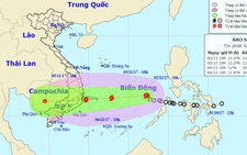 Bình Thuận: Dừng họp, tập trung ứng phó bão số 12