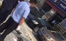 Chủ nhà hàng thịt chó Trung Quốc lại đi trộm chó