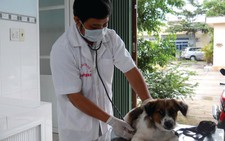 Đừng nhầm nhiễm sán chó với giun đũa chó