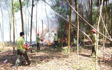 Yêu cầu tăng cường công tác phòng cháy, chữa cháy rừng