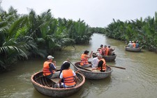 Quảng Nam đầu tư 25,5 tỷ đồng phục hồi rừng dừa nước