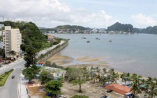 Cấm mở nhạc quá 22 giờ ở khu vực công cộng khu du lịch Bãi Cháy