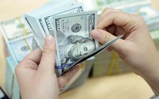Ngân hàng Nhà nước yêu cầu thực hiện tốt huy động vốn bằng ngoại tệ