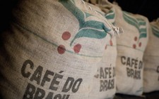 Sản lượng xuất khẩu cà phê của Brazil giảm mạnh trong năm nay
