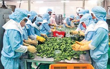 Xuất khẩu nông sản đạt kỷ lục mới