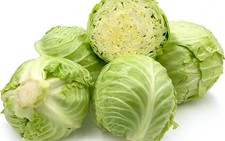 Bắp cải trong việc bổ dưỡng sức khỏe và chữa bệnh