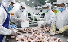 Truy xuất nguồn gốc trứng, thịt gia cầm: 