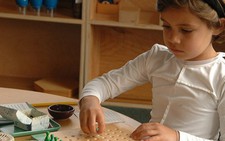 Khóa nhập môn phương pháp giáo dục Montessori (AMI)