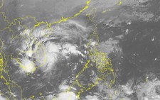 Cưỡng chế hơn 100 người không chịu đi tránh bão