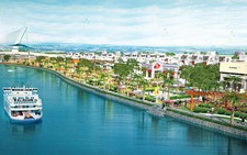 Những dự án 