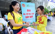 Cho 'mùa hoa  hướng dương' rực nở