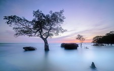 Ảnh Việt Nam đẹp nên thơ của Việt kiều Mỹ