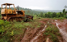 Buộc doanh nghiệp bồi thường giá trị gần 600ha rừng bị 'xóa sổ'