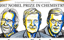 Công trình đoạt Nobel Hóa học giúp 'mục sở thị' virus Zika