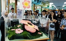 Diễn đàn Sinh viên châu Á với môi trường - ASEP 2018: Hiểu về rừng để cùng bảo vệ