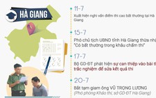 11 người bị bắt trong vụ gian lận điểm thi THPT quốc gia 2018
