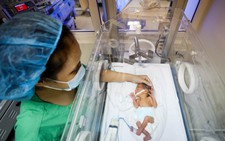 Tận tụy những 'người mẹ' chăm trẻ sinh non