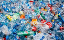 Lần đầu phát hiện vi hạt nhựa xâm nhập cơ thể người