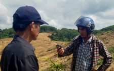 'Khoảnh nhỏ' rừng Khe Cau bị ủi gấp hơn 4 lần mức có thể khởi tố