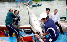 Thủy sản thiệt hại lớn từ 'thẻ vàng' EC