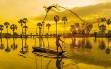 Đến 'xứ sở cây thốt nốt' Tịnh Biên mùa nước nổi