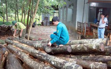 70 ngày thanh tra trách nhiệm chủ tịch tỉnh Bình Phước