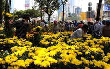 Chợ hoa Tết Kỷ Hợi 2019 tổ chức ở 3 công viên lớn tại TP.HCM