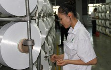 Xơ sợi Đình Vũ doanh thu hơn 250 tỉ sau một năm tái khởi động