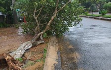 Phải làm gì khi có bão?