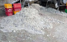 Xả thải vượt chuẩn, bị phạt hơn 800 triệu đồng