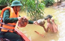 Miền Trung: đồng bằng ngập sâu, miền núi sạt lở