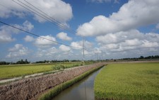 Trà Vinh: “Ốc đảo” Cồn Phụng đã có điện lưới quốc gia