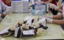 TP.HCM khan hiếm máu dự trữ dịp Tết Nguyên đán