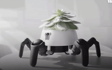 Robot tự động đưa cây trồng trong nhà tới nơi có ánh nắng