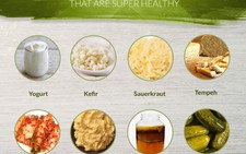 11 thực phẩm chứa probiotic có lợi cho sức khỏe