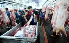 Chợ đầu mối 'chạy đua' hàng tết