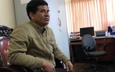 Khởi tố chủ tịch xã nhận tiền làm ngơ để rừng thông bị phá