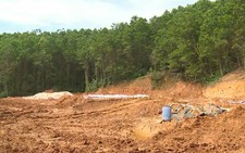 Vỡ đập thải nhà máy vàng ở Bồng Miêu, cá chết đầy sông