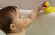 Những con vịt tắm đồ chơi, coi chừng thành ổ vi khuẩn