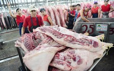 Nguy cơ tăng giá thịt heo, gà