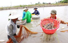 Tăng gấp đôi thu nhập cho nông dân: bằng cách nào?