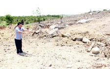 Bất thường trong hồ sơ nguồn gốc của 3 cây 'siêu khủng'
