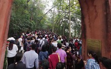 Lễ hội đền Hùng 2018 cam kết không còn 