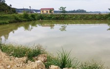Tắm ao, hai anh em họ chết đuối thương tâm